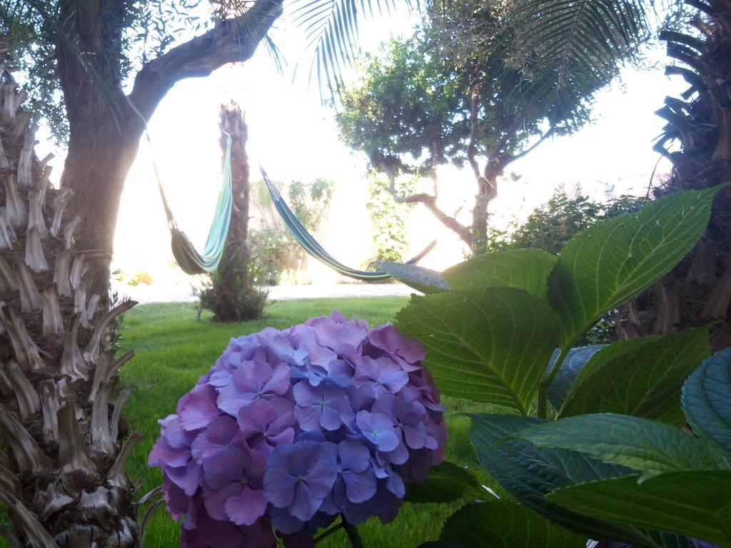 Nora Guesthouse Rooms And Villas Pula Luaran gambar